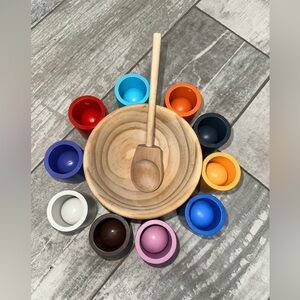 Montessori Color Sorting Ball Set